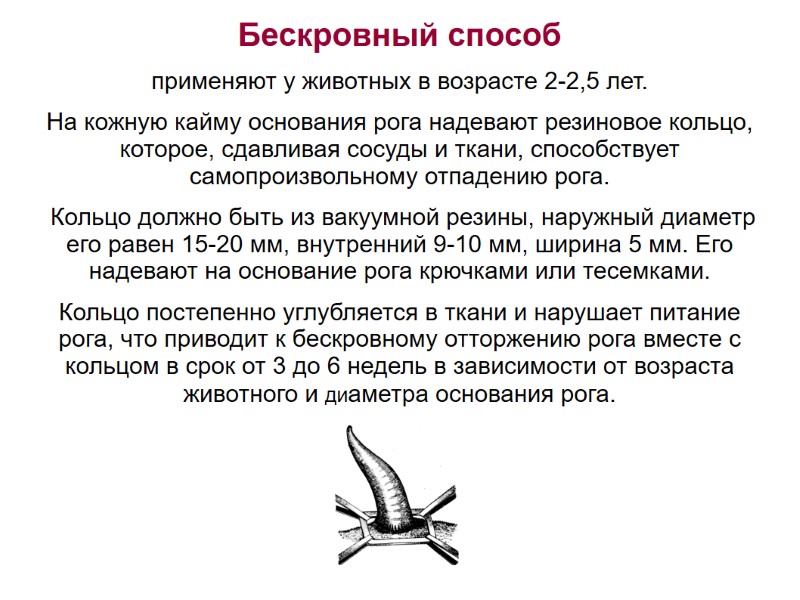 Бескровный способ применяют у животных в возрасте 2-2,5 лет. На кожную кайму Бескровный способ применяют у животных в возрасте 2-2,5 лет. На кожную кайму